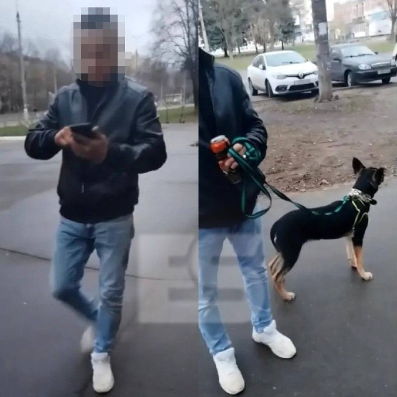 Замечание за избиение собаки обернулось нападением на женщину и ребёнка
